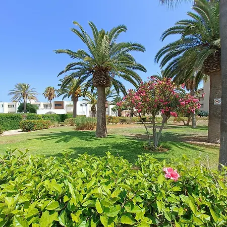 Tropicana Con Salida Directa Al Mar Y Piscina Roquetas de Mar